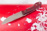 Нож Бобр (S390, фултанг, красный карбон, формованные ножны), фото 3