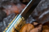 Нож Медведь фултанг (М390, стабилизированный зуб мамонта, формованные ножны), фото 6